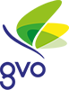 gvo